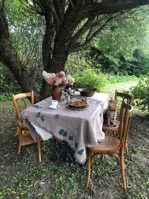 Маленький дом увитый виноградом