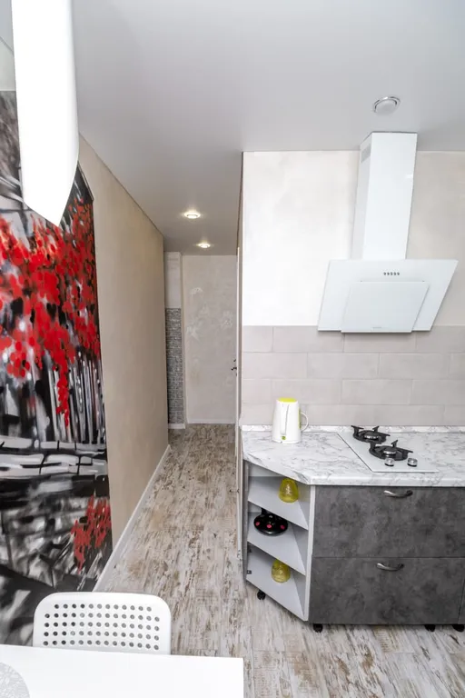 Квартира в центре города