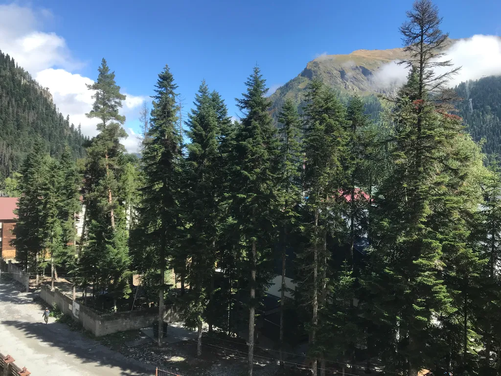 Квартира с прекрасным видом на горнолыжный склон горы Мусса-Ачитара