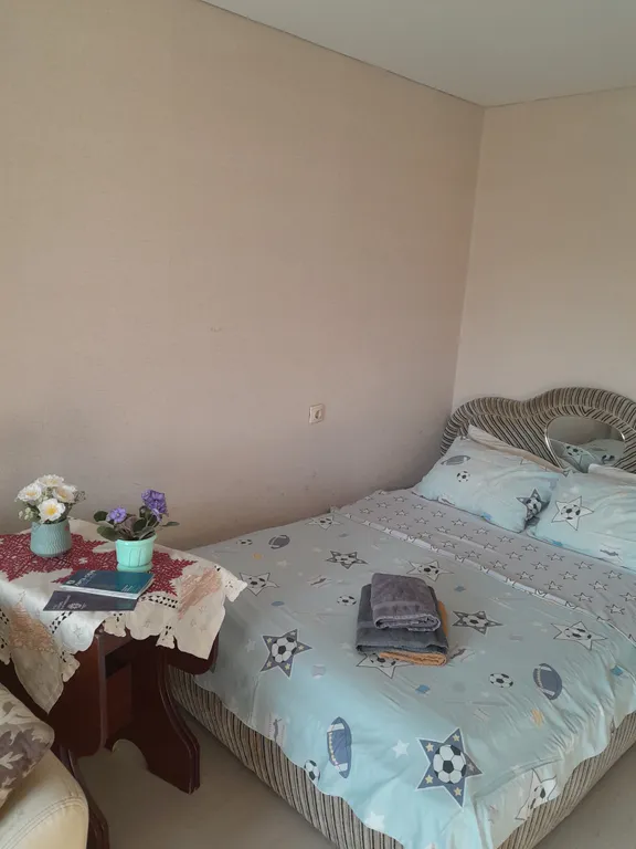 Уютная однокомнатная квартира недалеко от жд и автовокзала