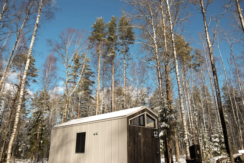Коттедж Дом в лесу с купелью фурако и мангальной зоной (до 4-х чел) — Глубокое (Каменногорское г/п)