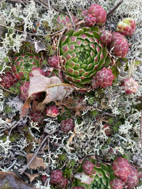 Уютный дом возле знаменитого Плещеева озера