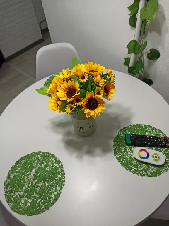 Квартира студия с панорамными окнами