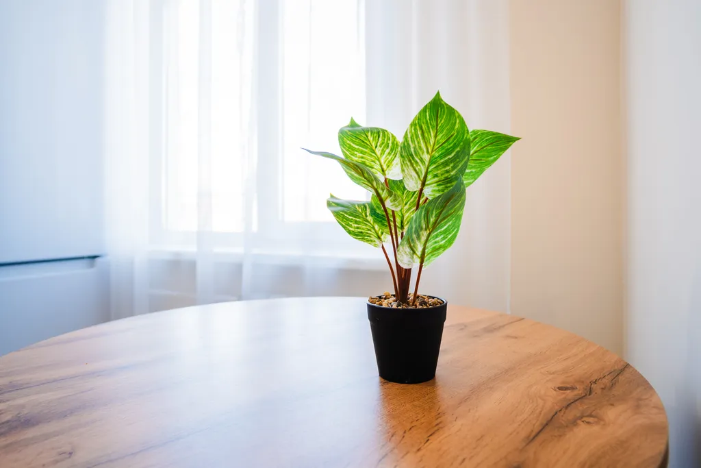 Уютная однокомнатная квартира apart-hotel Kömfi