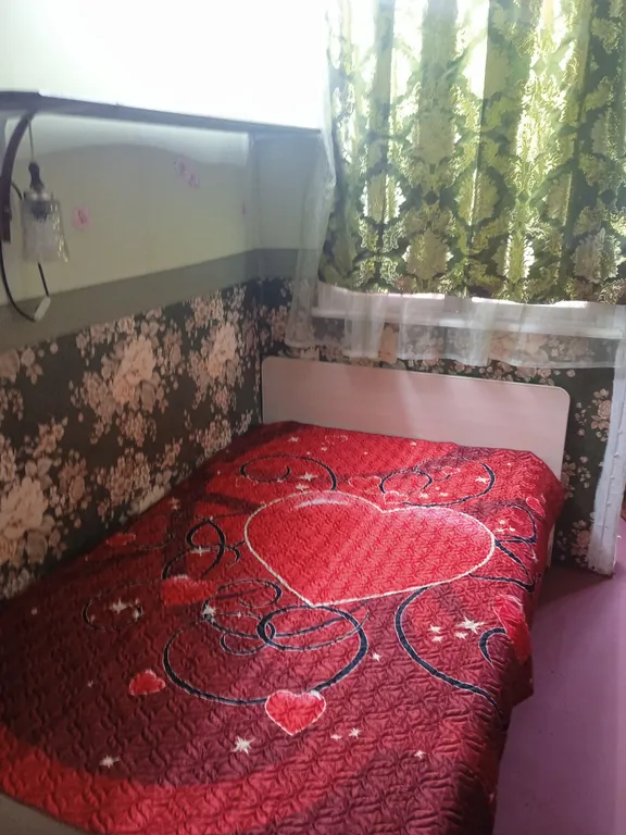 Частый сектор в лесном массиве. Комната