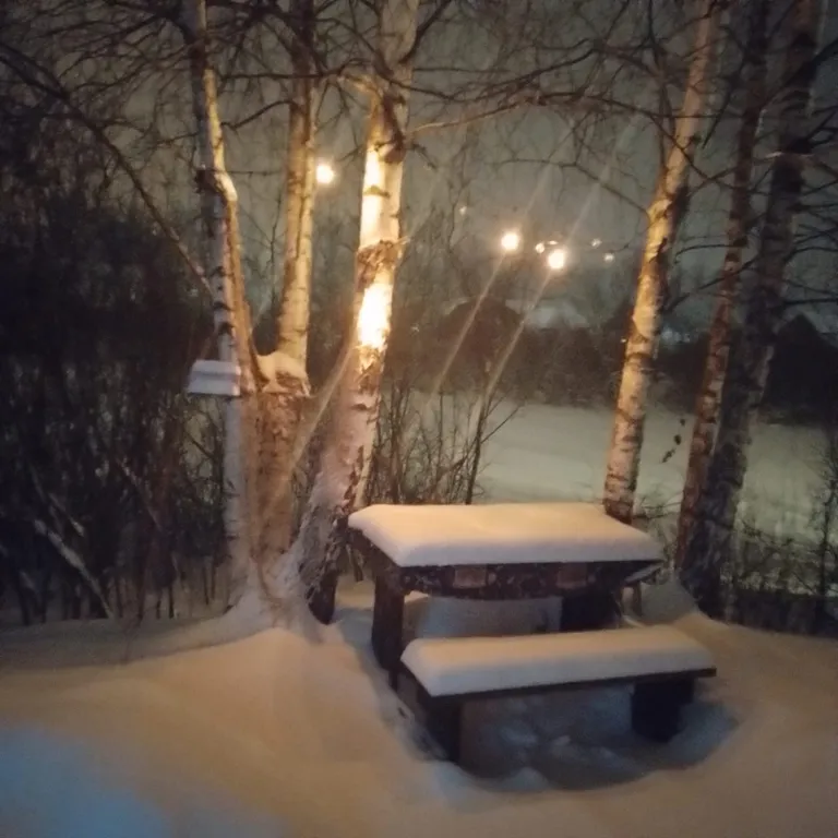 Чудо-дача, дом Капитан на берегу пруда