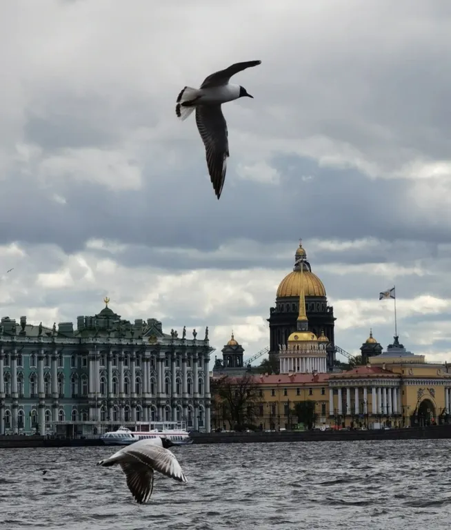 Большая студия у Петропавловской крепости