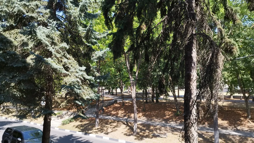 Уютная студия