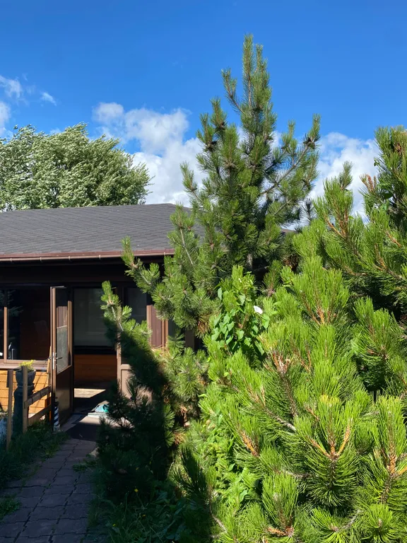 Коттедж Уютный домик в Стрельне с бассейном, русской баней и банным чаном — Санкт-Петербург