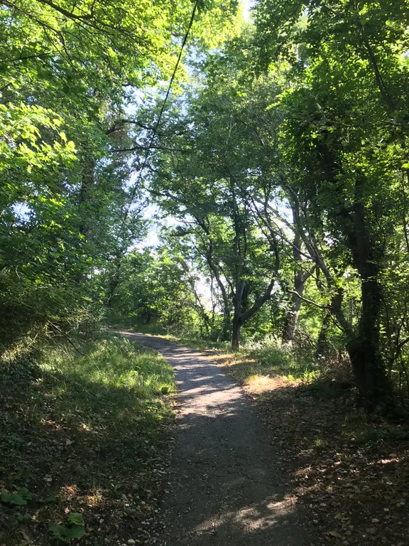 Половина дома с отдельным входом, с садом на берегу Чёрного моря