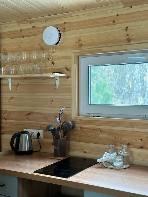 Уютный дом в лесу