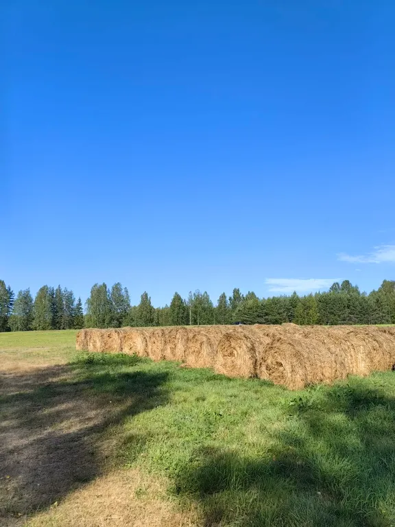 Домик в живописном месте у воды