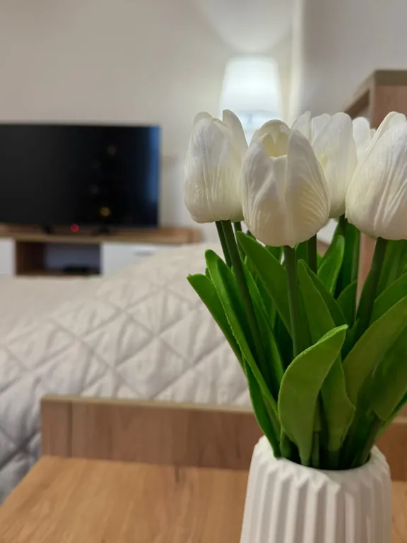 Уютная квартира в центре — аренда посуточно в Дивноморское