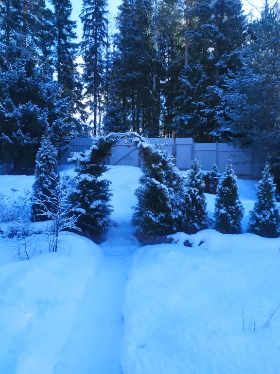 Домик на Карельском перешейке