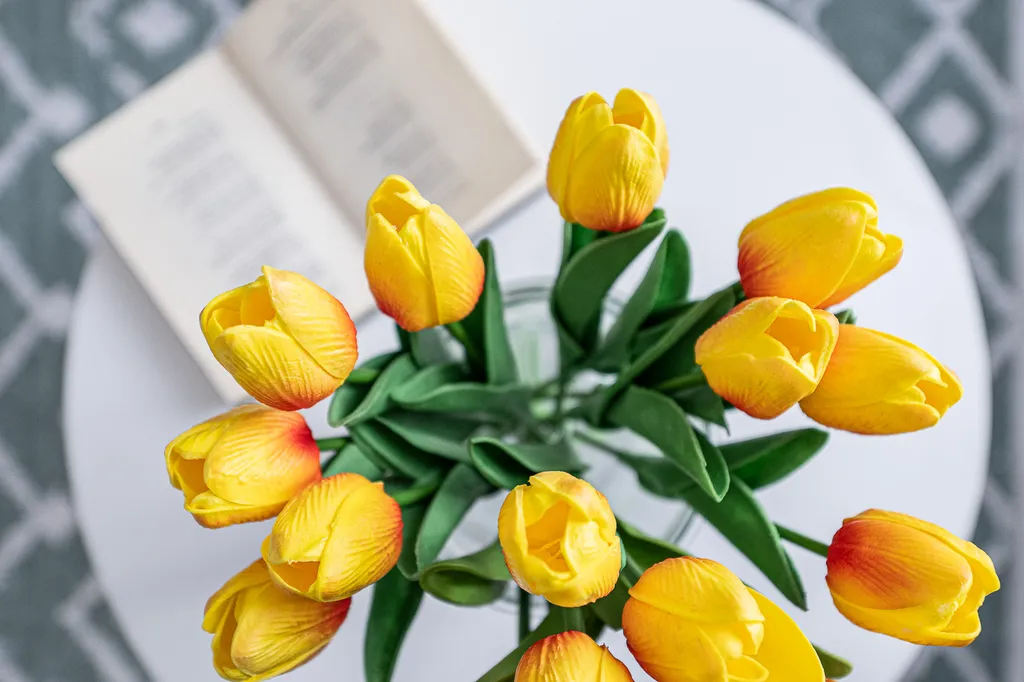 Пять Звёзд Бульвар Славы