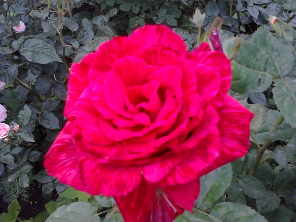 Уютный дом под ключ