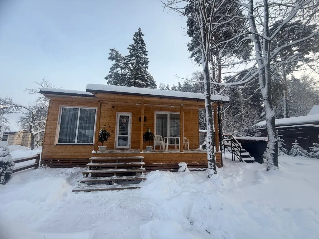 Дом в сосновом лесу