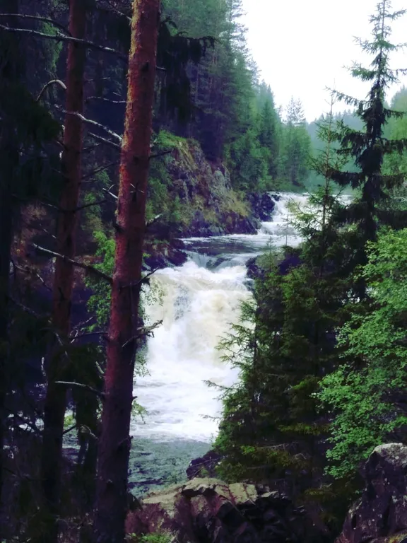 Гостевой дом Лось