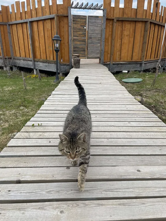 Дизайнерский коттедж Лето