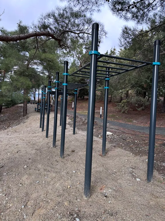 Квартира-студия в окружении хвойного леса и гор.