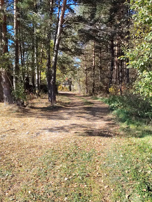 Домик на краю леса с комфортом городской квартиры
