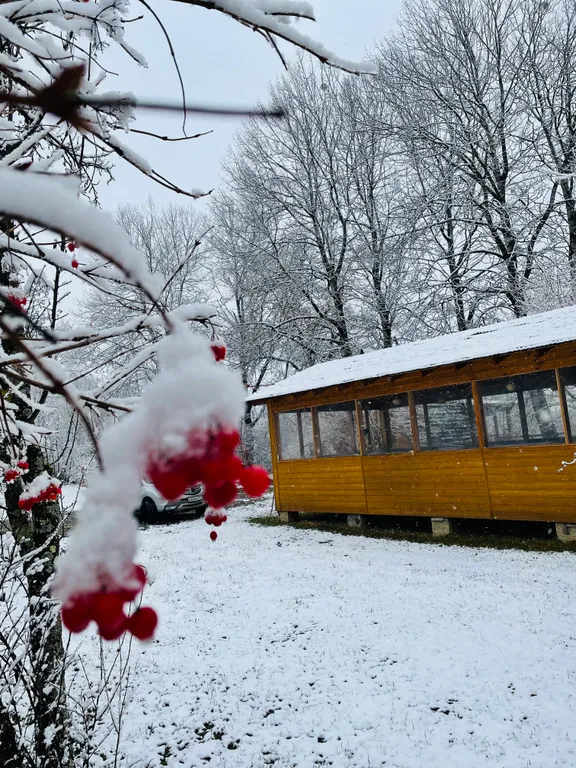 Гостевой дом Теремки у реки