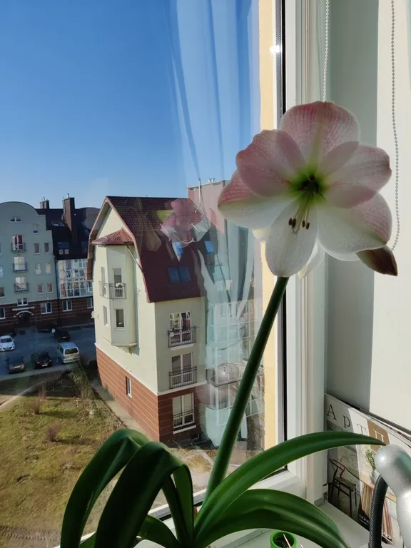 Уютная мансарда в Новой Резиденции