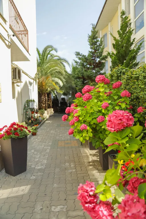 Квартира Комната — аренда посуточно в Сириус