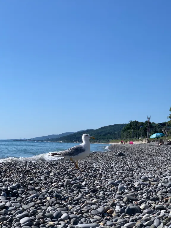 Квартира Комната — Зубова Щель