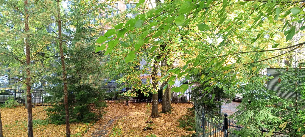 Квартира Просторная квартира в историческом центре — Светлогорск