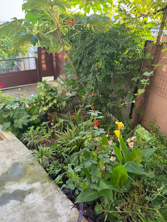 Коттедж Дом с прекрасным видом на Сухум — Сухум