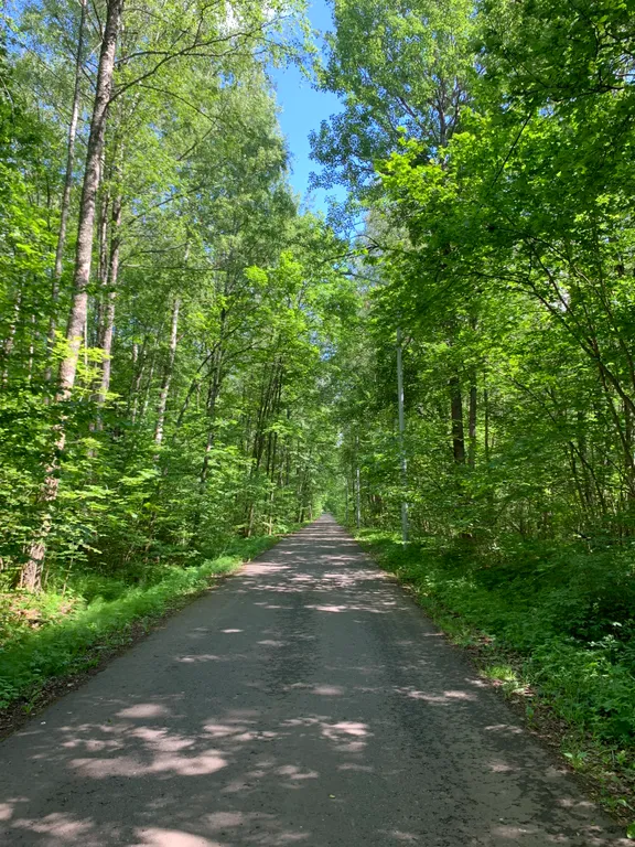 Ивановские дачи