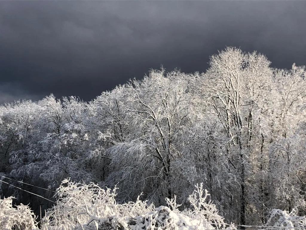 Домик в горах