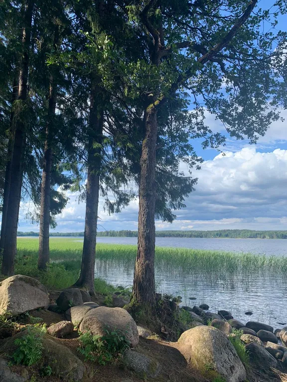 Коттедж Уютный дом с бассейном — Приморск