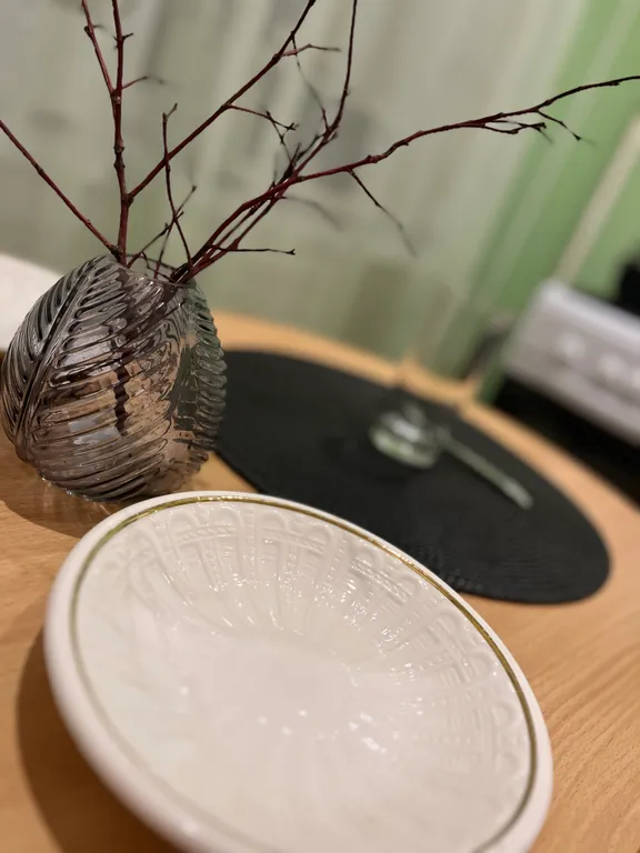 Чистая сухая светлая уютная квартира рядом с озером и центром города