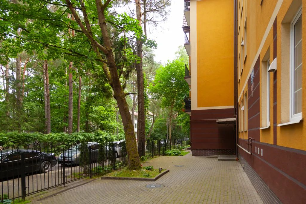 Квартира Квартира Сосновый рай в центре — Светлогорск