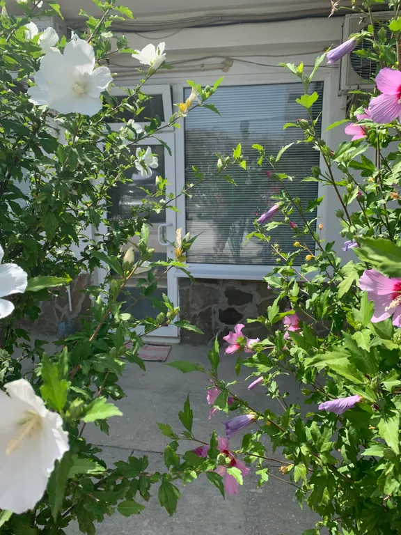 Квартира Квартира Уютный номер у моря для семьи — Любимовка