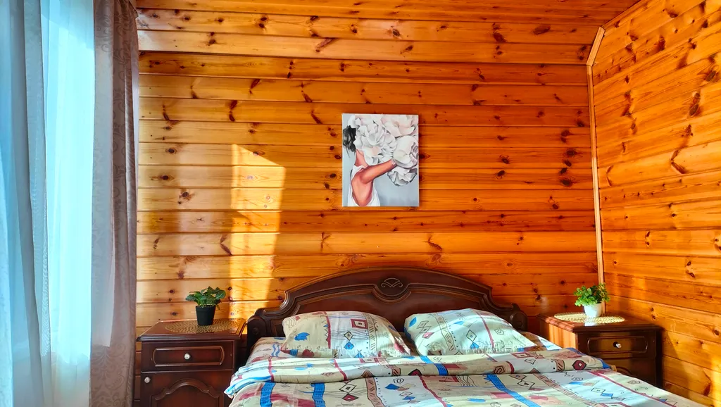 Дом - коттедж У Федота в черте города