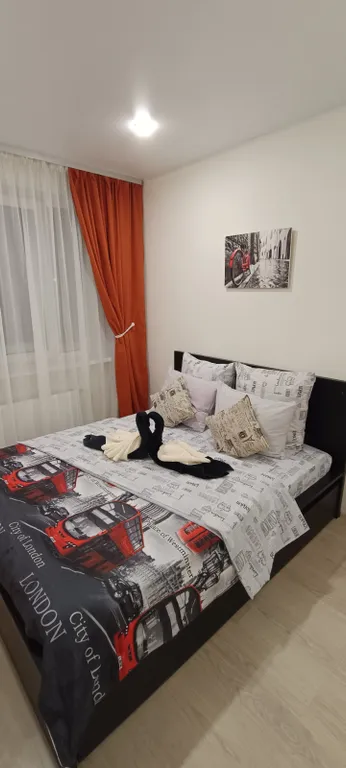 Zebra от Resident Ufa