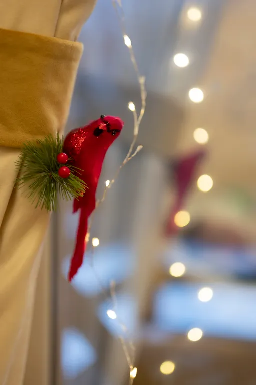 Коттедж 1-комнатный Дом — Александров