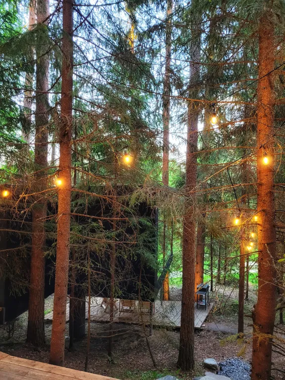 Коттедж комфорт класса с видом на лес