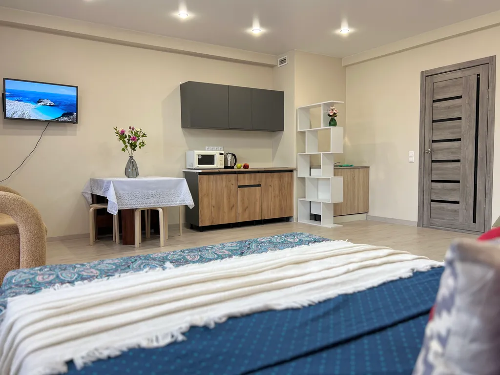 Студия у Городской поликлиники №3, не берем оплату за финальную уборку