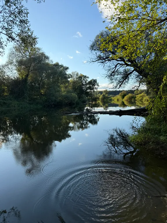 Уютный дом a-frame на окраине леса