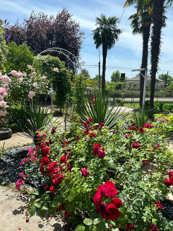 Уютный дом для семейного отдыха