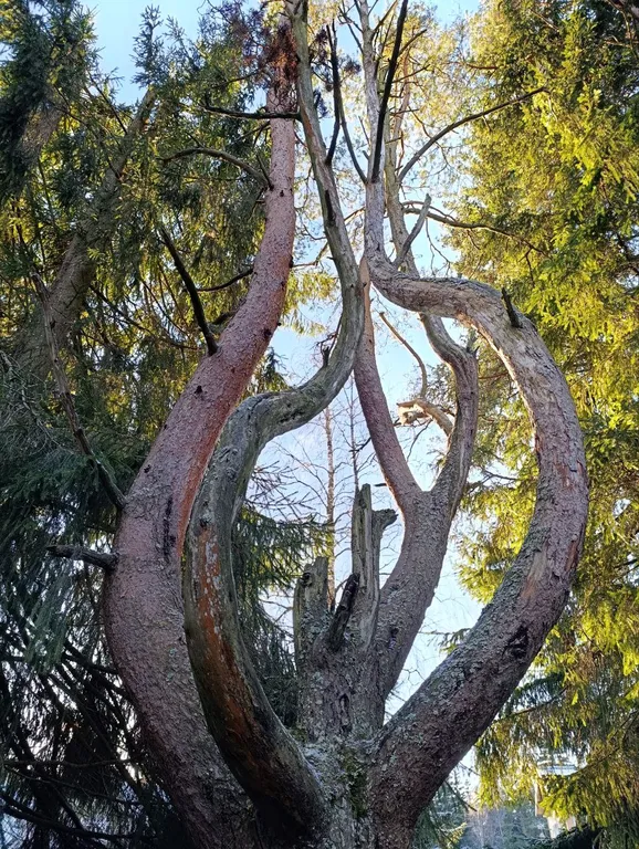 Дом с сауной у озера