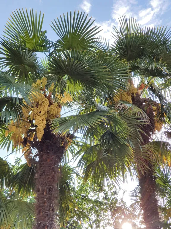 Дом на море