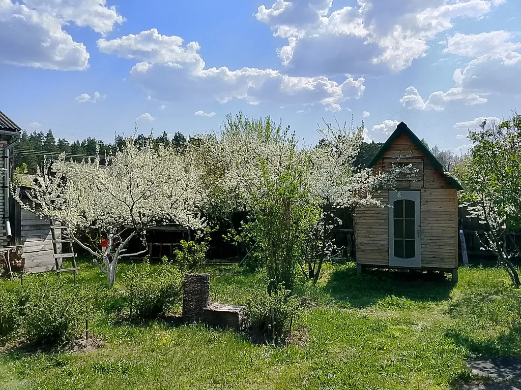 Лесной домик за рекой