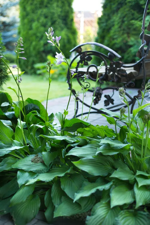 6-комнатный Дом