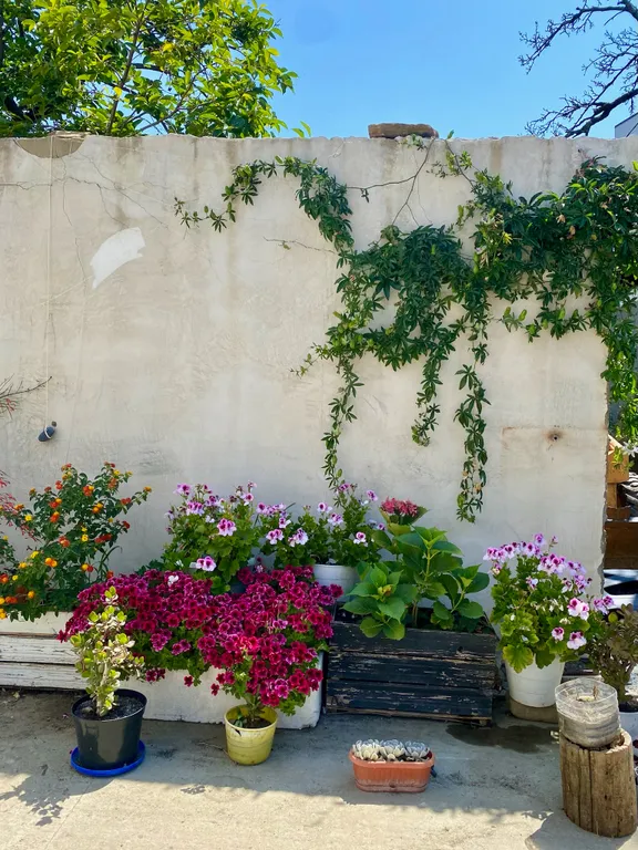 Квартира Просторная 2-комнатная квартира с закрытой парковкой — Сириус