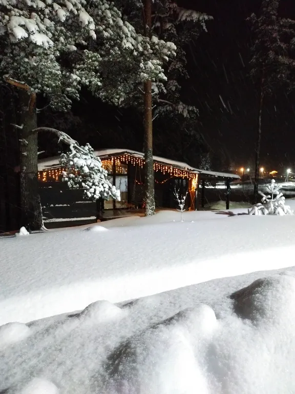 Дом на возвышенности с видом на лес в КП Сосновские озера